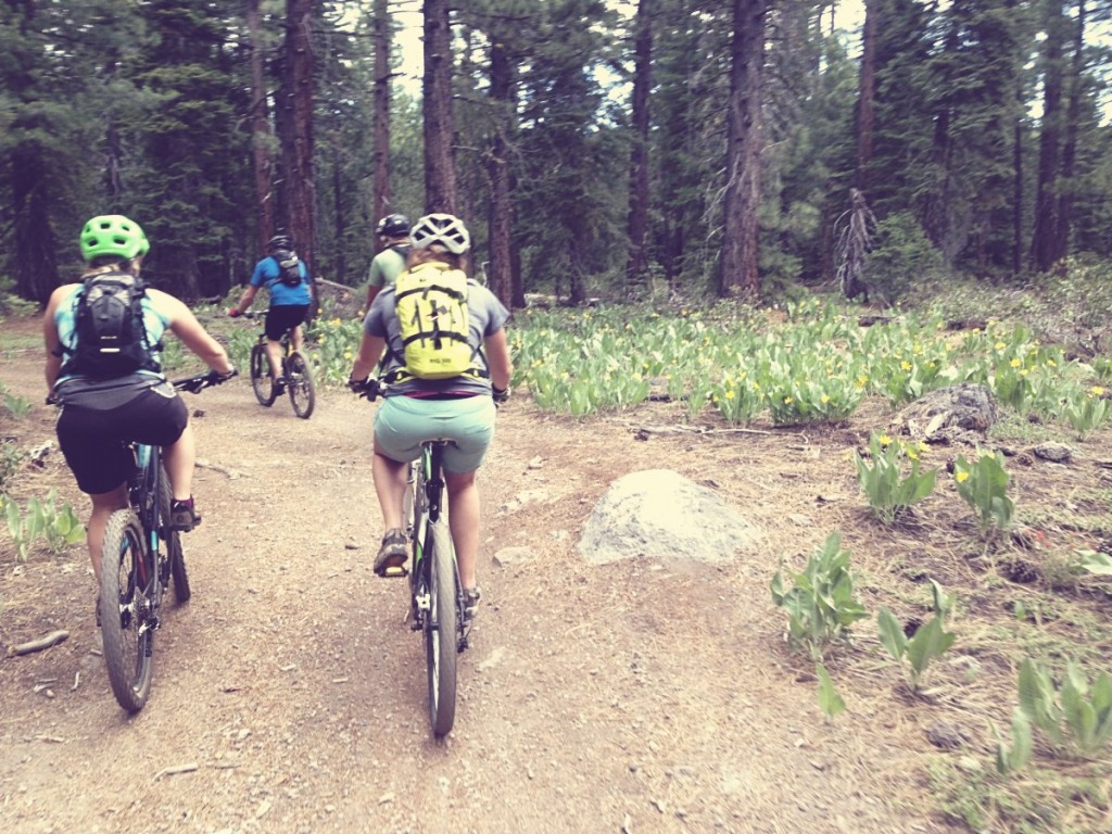 The Basics of Mountain Biking 
