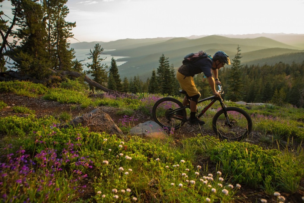 Pedal Power: Mountain Biking Adventures in the Sierra Nevadas!