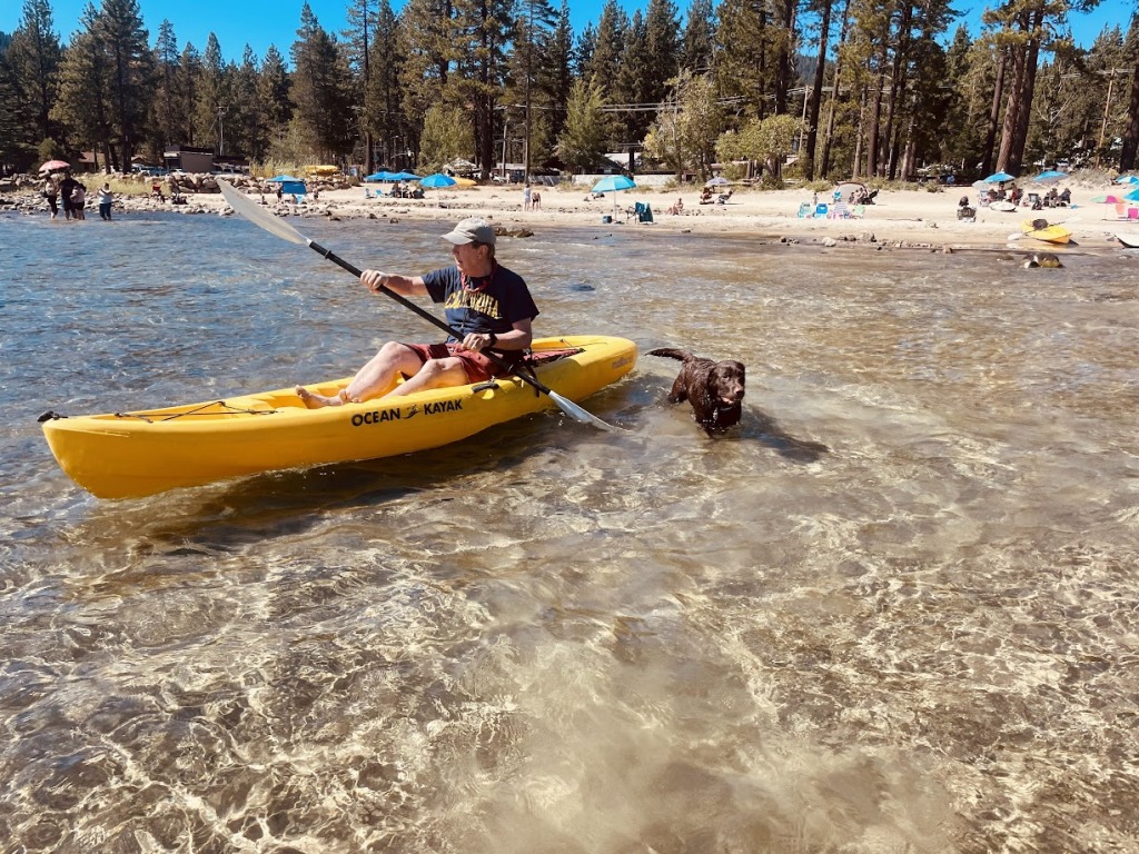 Traveling with your Dog in Lake Tahoe 