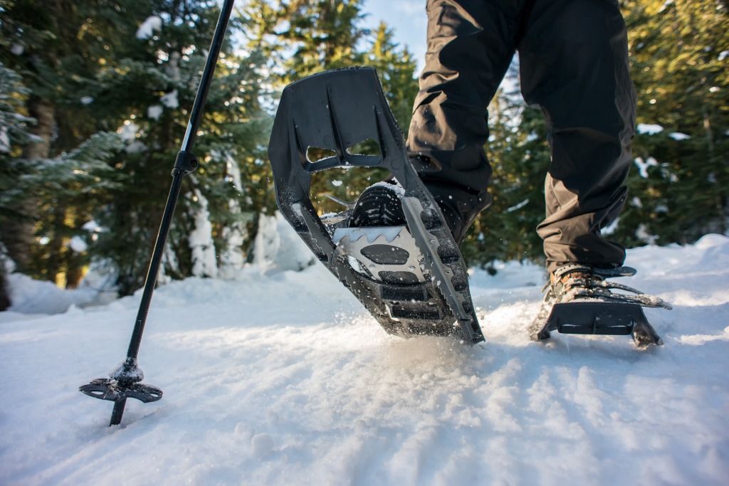 Winter Wonderland Unveiled: Your Ultimate Guide to Snowshoeing in Lake Tahoe