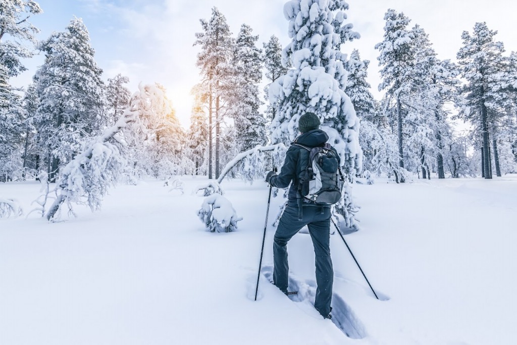 Solo Adventures in Tahoe: Guided Tours for Independent Travelers