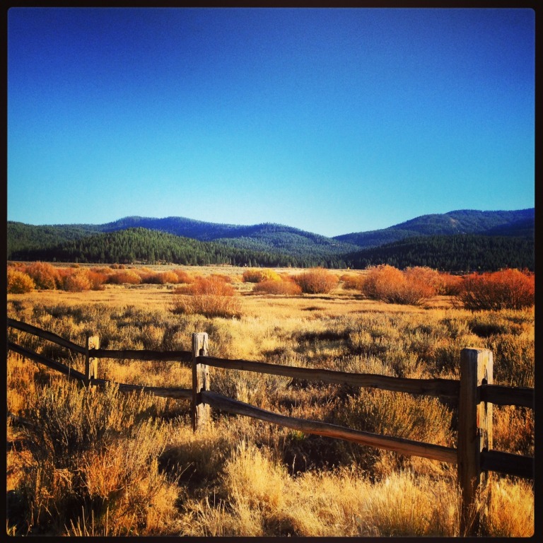 18th Annual Truckee River Day 