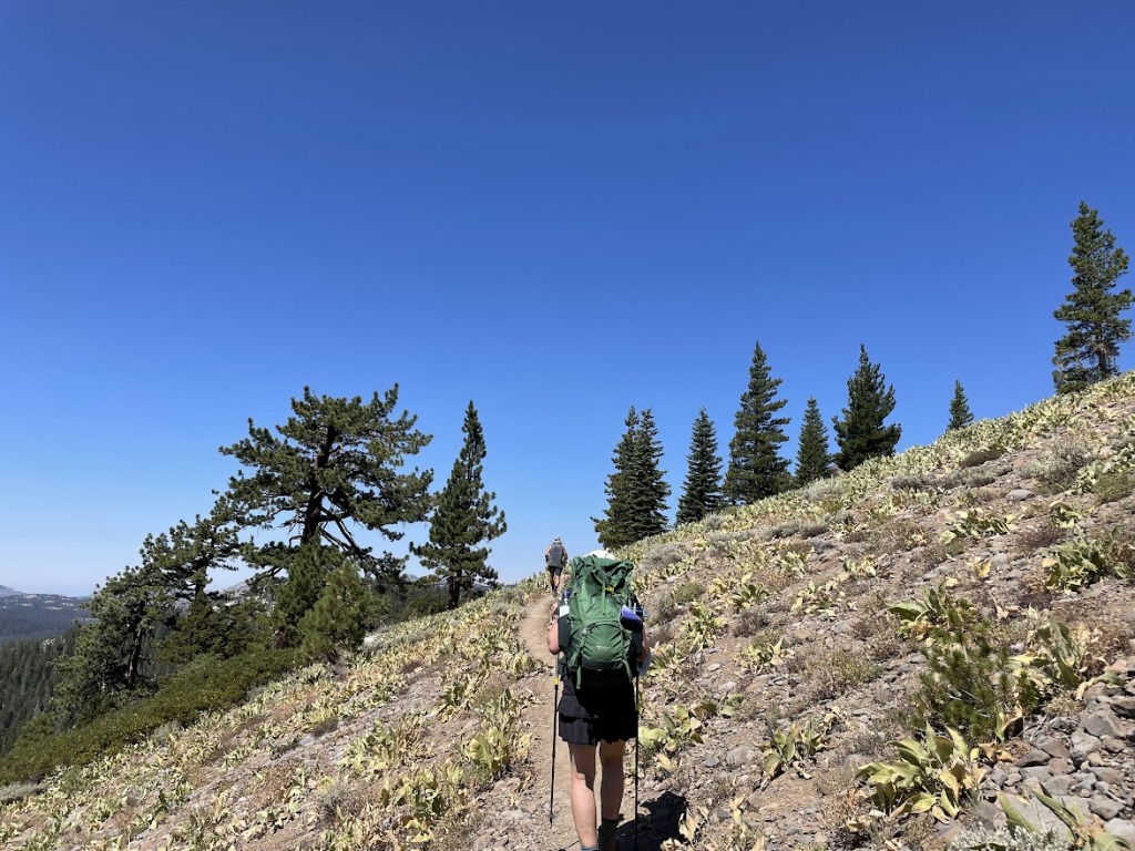 East Bay Times: Bear canisters now mandatory at popular Tahoe backpacking area 