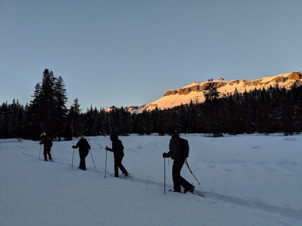 Dancing Under the Full Moon: A Magical Journey on our Full Moon Snowshoe Tours 