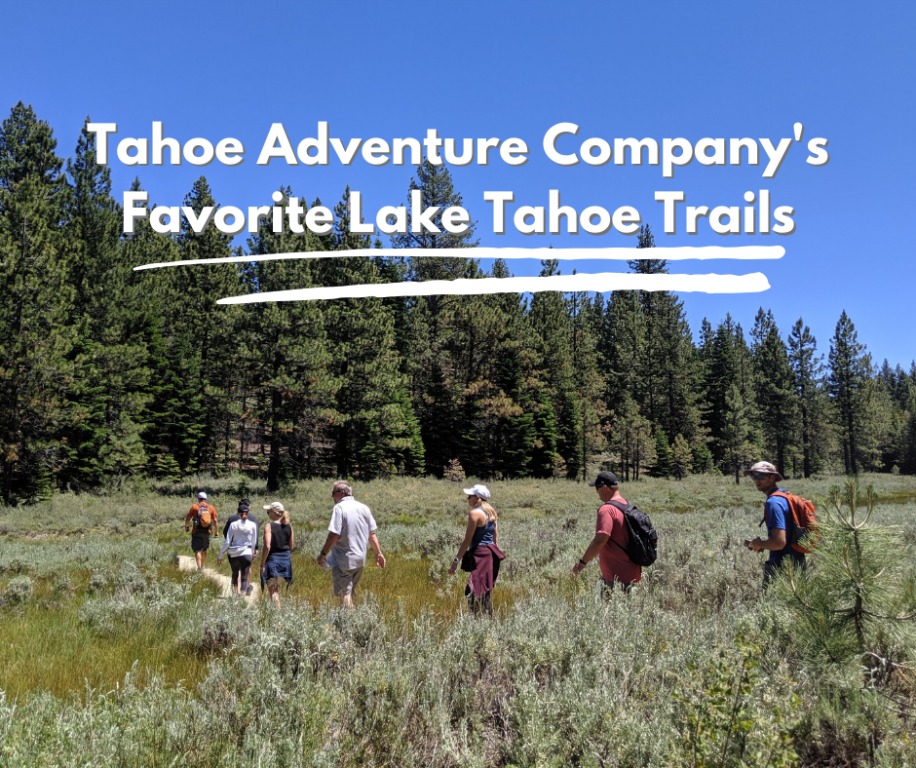  Tahoe Adventure Company's Favorite Lake Tahoe Trails 