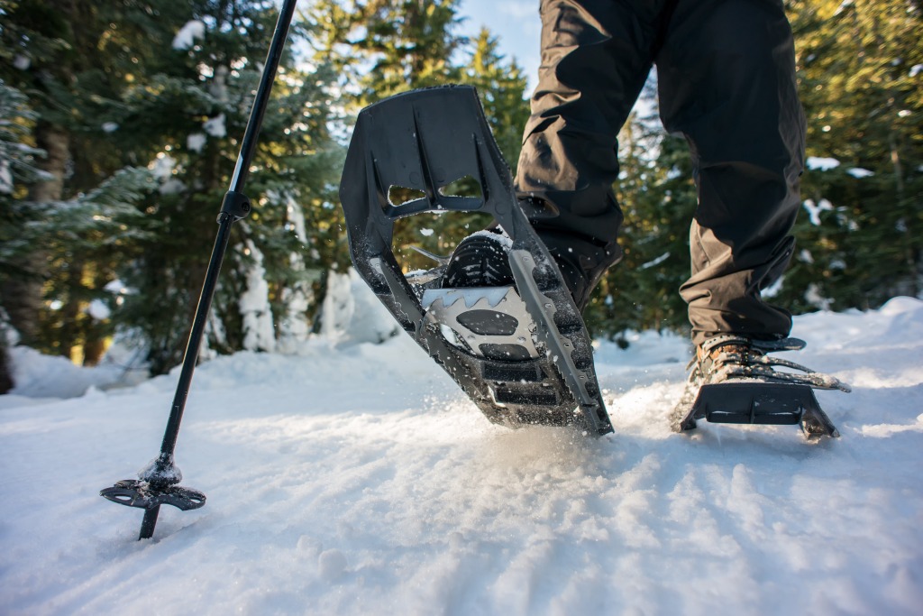 Winter Wonderland Unveiled: Your Ultimate Guide to Snowshoeing in Lake Tahoe 
