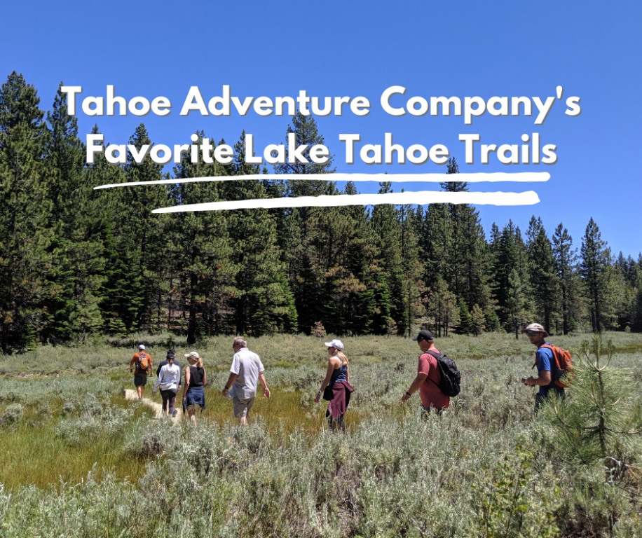  Tahoe Adventure Company's Favorite Lake Tahoe Trails