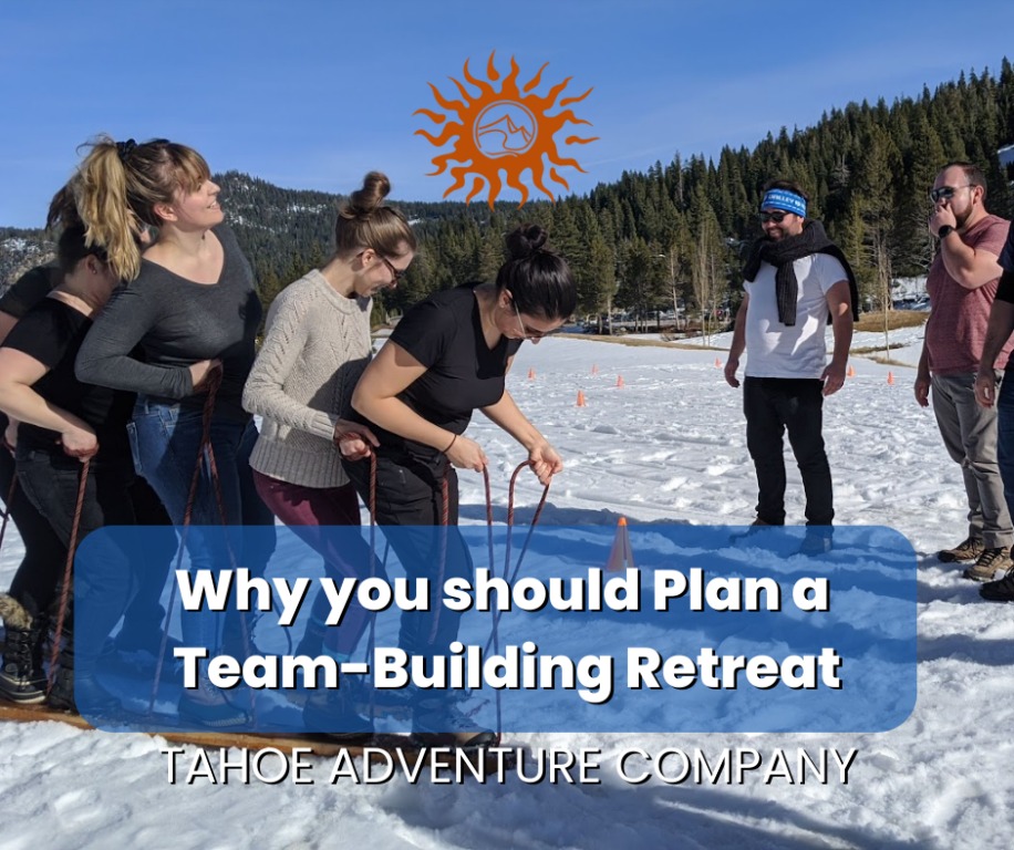 Why you should Plan a Team Building Retreat for your Company