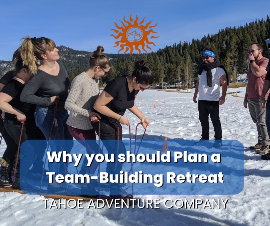 Why you should Plan a Team Building Retreat for your Company 